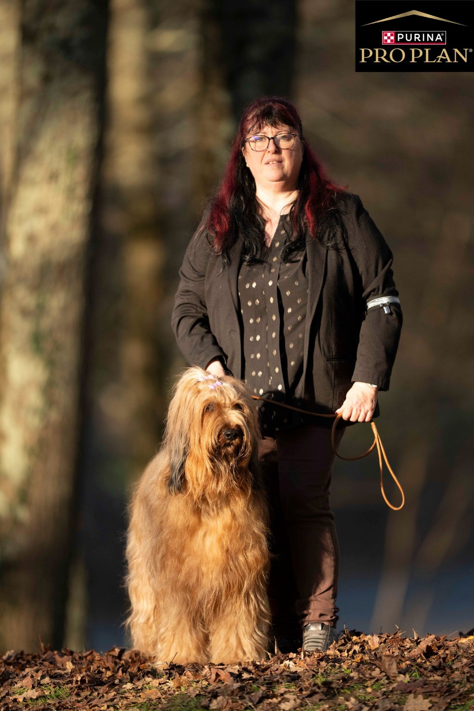 CH. Victory of the Teasing Stars