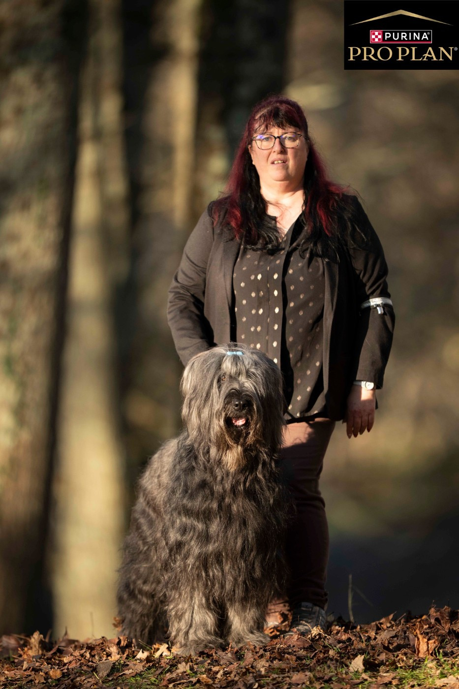 CH. Troubadour bebert De La Baie D'adonis