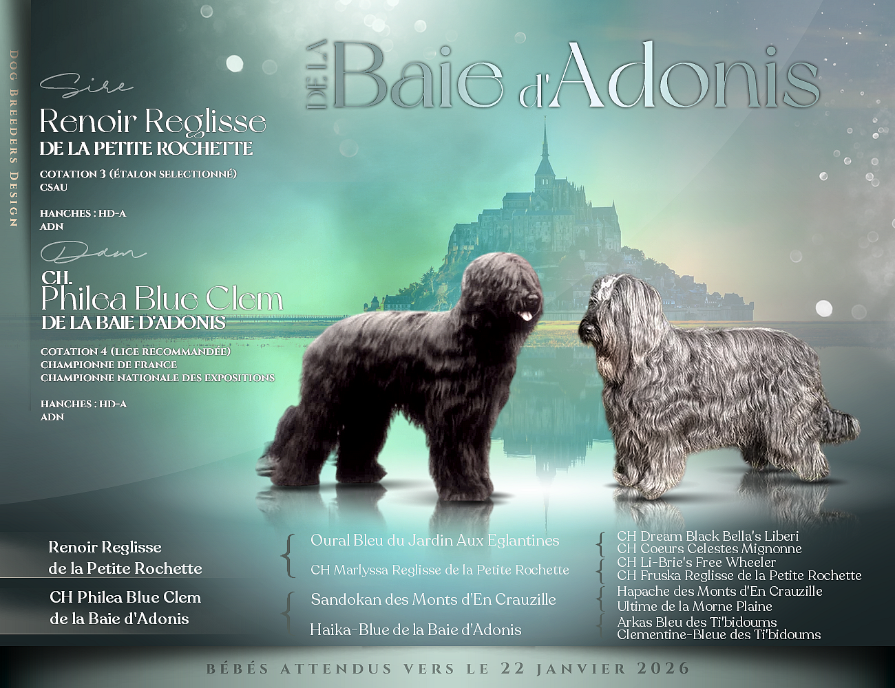 les bébés arriveront vers le 22 janvier 2026 !!